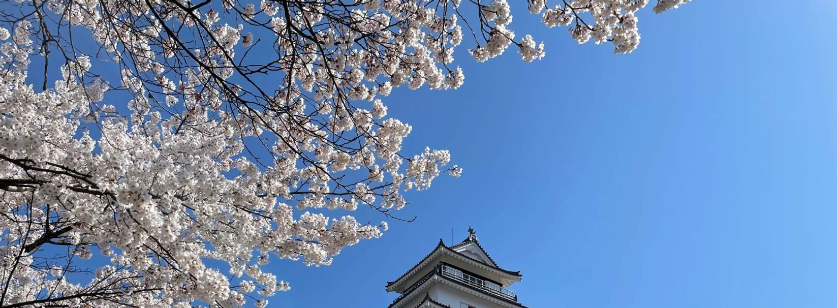 日本ホテル市場 2020年9月