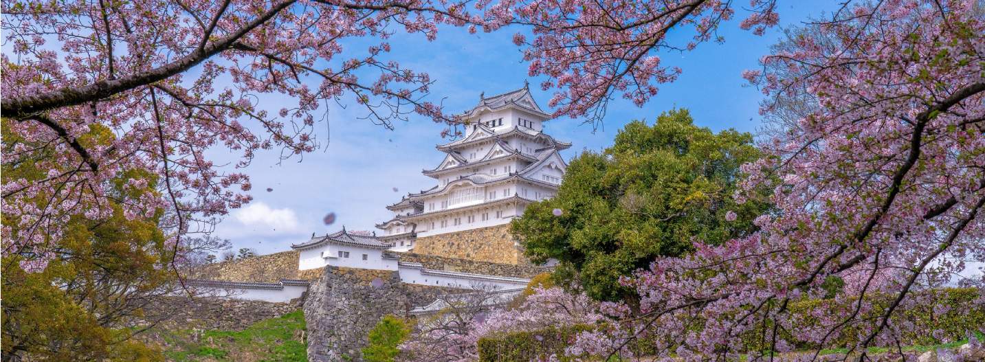 日本ホテル市場 2020年9月