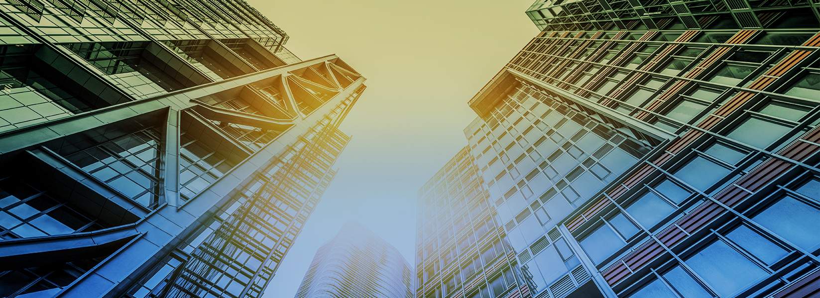 Savills India Report -Knowledge series Delhi NCR