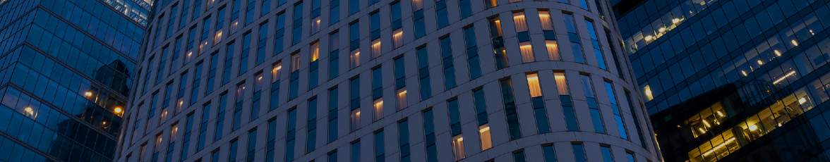Pune Institutional Investments Pune Institutional Investments