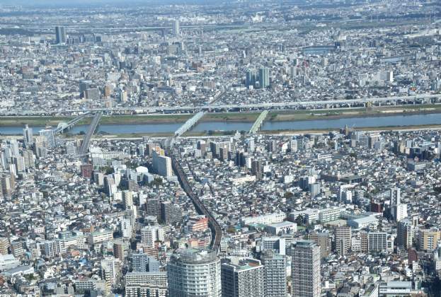 A Closer Look at  Tokyo Demographics