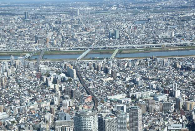 東京人口動態